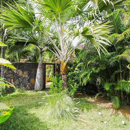 Villa Tropicale Balinaise Intimiste Grand-Baie Eksteriør billede