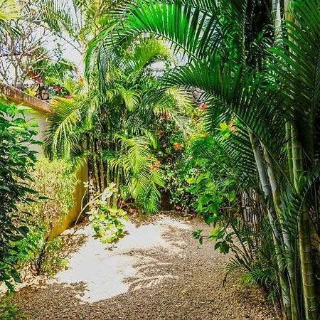 Villa Tropicale Balinaise Intimiste Grand-Baie Eksteriør billede