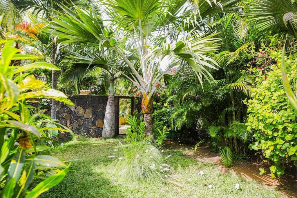 Villa Tropicale Balinaise Intimiste Grand-Baie Eksteriør billede